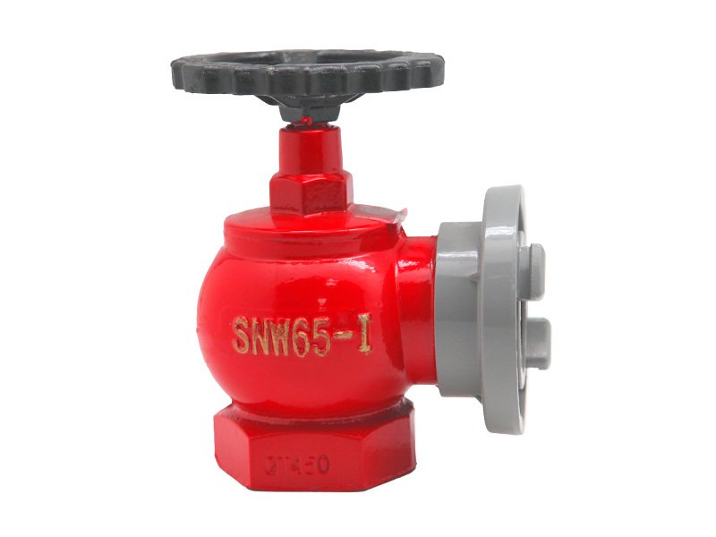 Indoor Fire Hydrant — SNW65-1